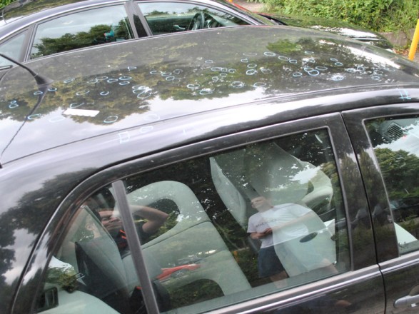 Schadenaufnahme - Hagelschaden